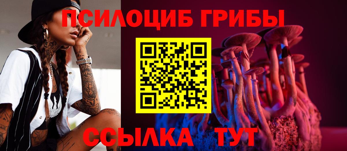 Чебоксары  Псилоцибиновые грибы GOLDEN TEACHER  Псилоцибиновые грибы Cubensis  Вход с VPN 
